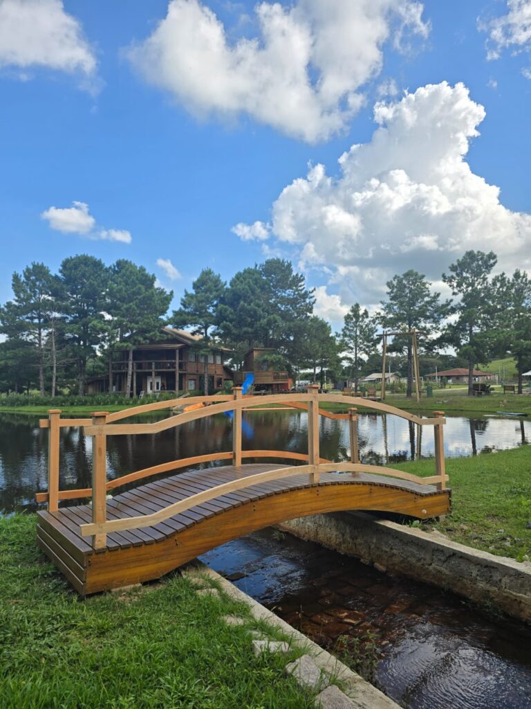 WhatsApp-Image-2025-08-18-at-14.47.13